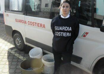 Oltre 170kg di prodotti ittici sequestrati