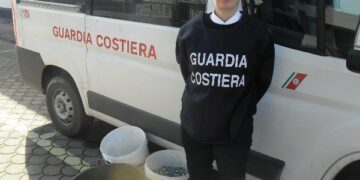 Oltre 170kg di prodotti ittici sequestrati