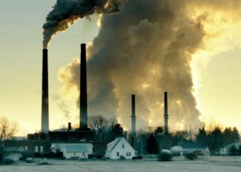 Centrale a Carbone di Saline Joniche, M5S: bene la sospensiva