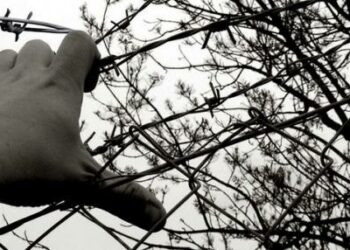 Giorno della Memoria, istituzioni e studenti insieme per ricordare