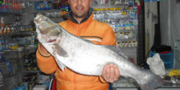 Pescata Spigola da 8 kg a Punta Alice