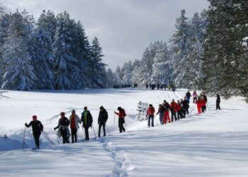 Ciaspolata intorno al lago Arvo