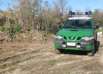Abuso edilizio: fabbricato agricolo senza autorizzazione, denunciato