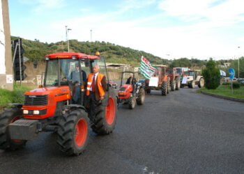 Manifestazione pubblica per la Strada Statale 106
