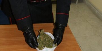Deteneva marijuana, in arresto 43enne di Scandale