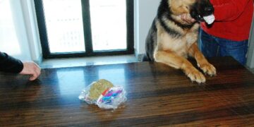 Droga nello zaino, arrestato iracheno al terminal ‘Romano’