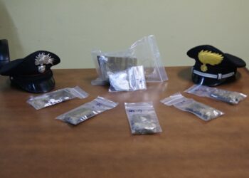 Pensionata spacciava hashish e cocaina