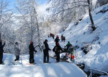Giornata mondiale delle zone umide 2013