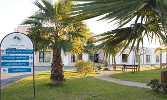 Istituto Sant’Anna alla giornata nazionale stati vegetativi