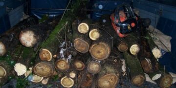 Rubano legna e attrezzatura da un frantoio