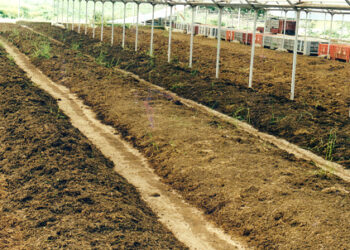 Rifiuti, superiamo emergenza con proposte