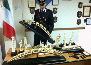 Materiale archeologico in magazzino, in manette restauratore crotonese