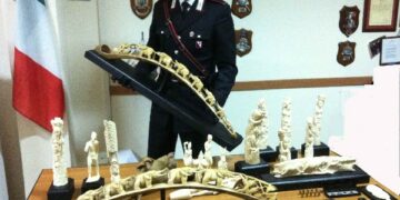 Materiale archeologico in magazzino, in manette restauratore crotonese