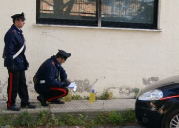 Tentano incendio scuola, presi 8 minori