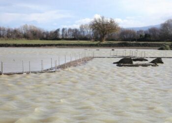 Area archeologica Sibari, ass. Ars Enotria sollecita prevenzione