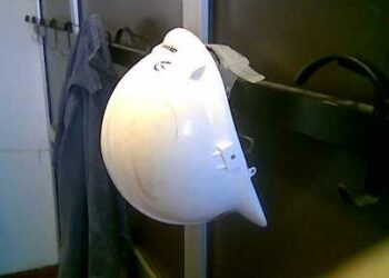 Zurlo chiede risposte sugli ammortizzatori sociali