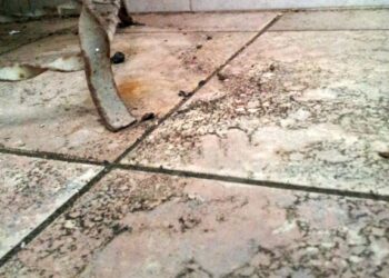 Svelato il mistero della polvere nera