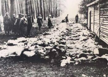 Foibe, colmare vuoto di informazione