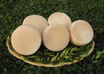 ‘Arrivano i Gialli’, valorizzare formaggi di vacca