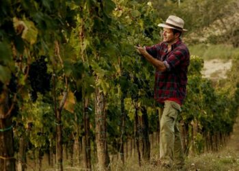 Documentarsi sul dialetto cirotano, parte quarta