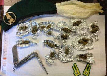 Arrestato egiziano per droga e porto abusivo d’armi