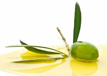 Casa degli oli extravergini, aderire all’elaioteca regionale