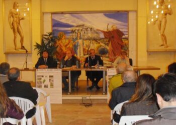 Pineta, incontro pubblico in Comune: grande partecipazione