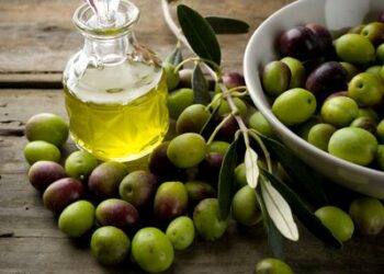 Olio calabrese, al via il Premio ‘Giulio Verga’