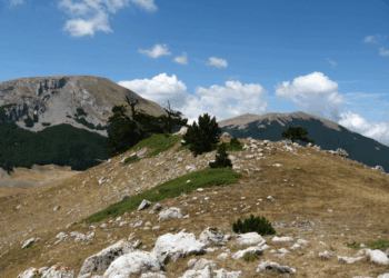 Parco nazionale del Pollino, al via il Viaggio della conoscenza