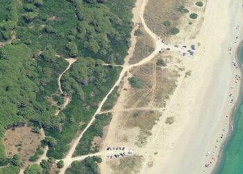 Pineta, polmone verde da salvaguardare