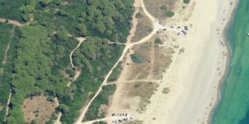 Pineta, polmone verde da salvaguardare