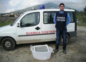 Sequestrati ad Albidona 20 chili di novellame