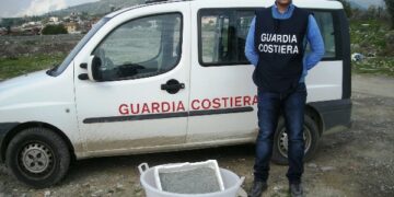 Sequestrati ad Albidona 20 chili di novellame