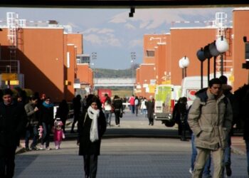 UIL Unical: partecipare alla vita dell’Ateneo