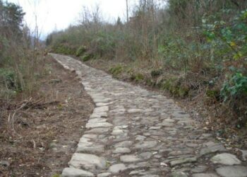 Alla Dante Alighieri si parlera’ di topografia e urbanistica dell’antica Kroton