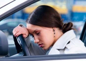 Italiano indisciplinato per Eccellenza alla guida, a piedi ed anche Oltrefrontiera