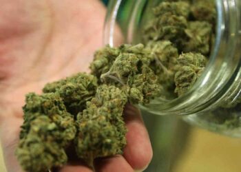 Avevano un chilo di marijuana, arrestate giovani donne