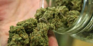 Avevano un chilo di marijuana, arrestate giovani donne