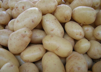 Patata S.Eufemia d’Aspromonte ha il marchio De.Co.