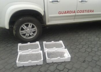 Nuovo sequestro di ‘bianchetto’ a Strongoli