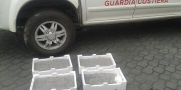 Nuovo sequestro di ‘bianchetto’ a Strongoli