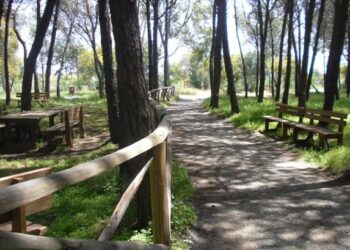 1 maggio a Ciro’ Marina, inaugurazione dell’area pic-nic in Pineta