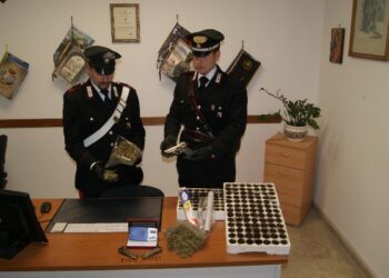 Armi e droga in un casolare di campagna, due arresti a Isola