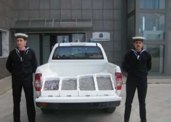 Bianchetto, sequestrati 25 kg tra Ciro’ Marina e Torretta