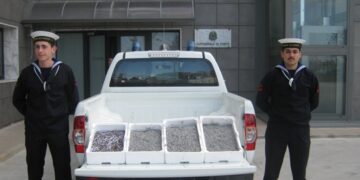 Bianchetto, sequestrati 25 kg tra Ciro’ Marina e Torretta