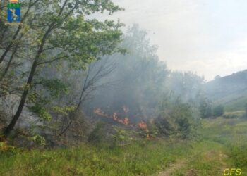 Ambiente: denunciate 5 persone tra Savelli e Castelsilano