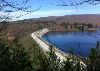 Collaudo definitivo ‘diga Castagnaro’