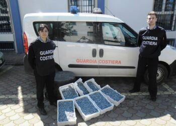 Guardia Costiera Corigliano sequestra 100kg di novellame