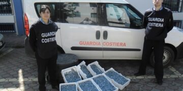 Guardia Costiera Corigliano sequestra 100kg di novellame