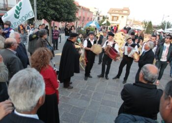 Sagra dei Piselli ad Amendolara, propagatori di tradizione